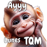 🙉🙊Lunes con Monos🙈🐵