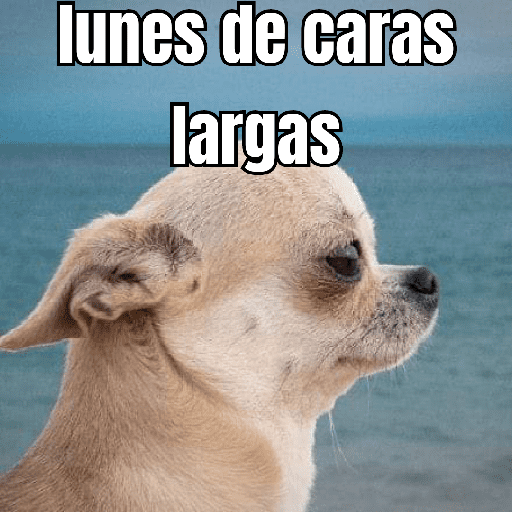 lunes de ... 👌 preview