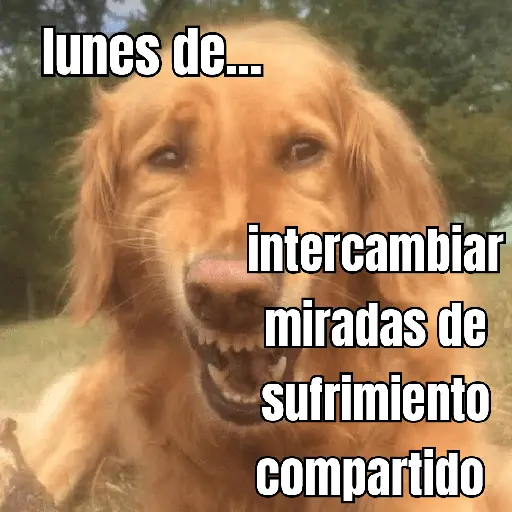 lunes de ... 👌