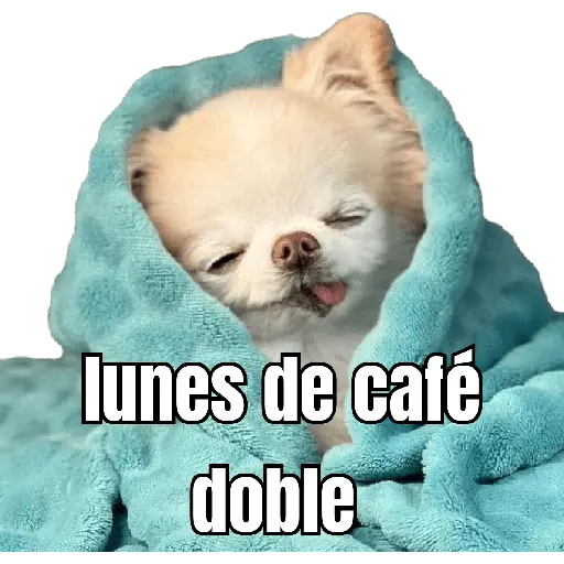 lunes de ... 👌