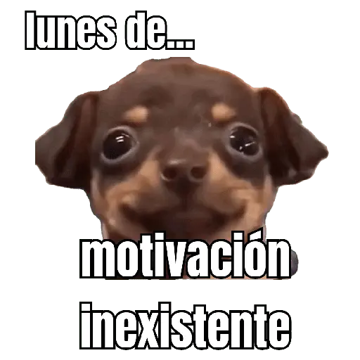 lunes de ... 👌