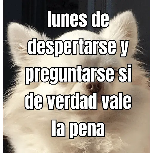 lunes de ... 👌