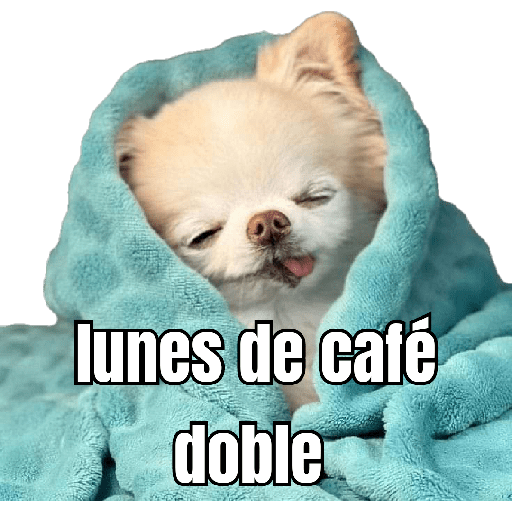 lunes de ... 👌 preview