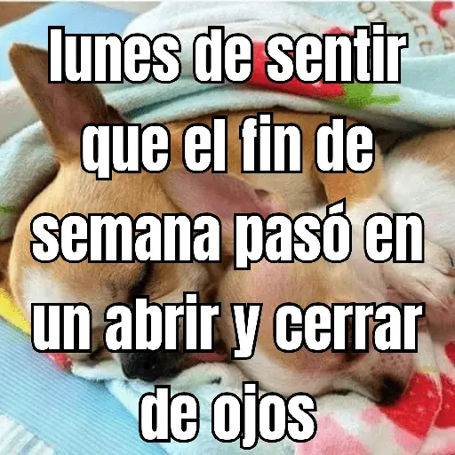 lunes de ... 👌