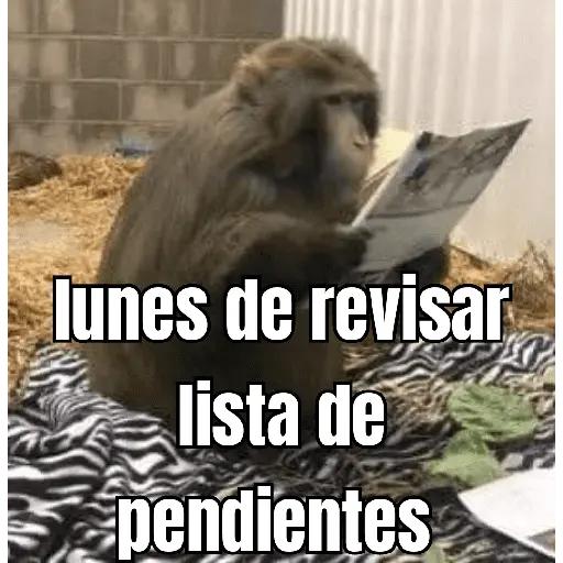 lunes de ... 👌