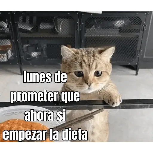 lunes de ... 👌