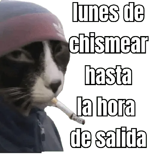 lunes de ... 👌