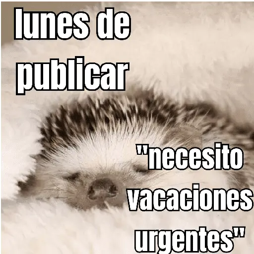 lunes de ... 👌