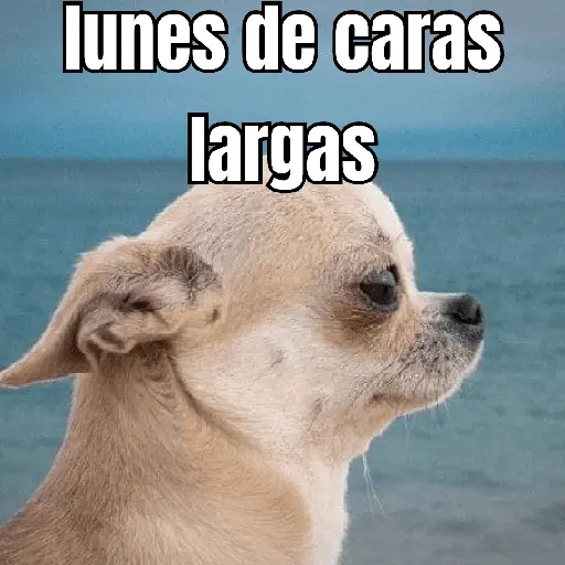 lunes de ... 👌
