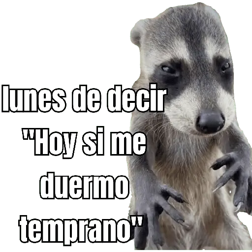 lunes de ... 👌