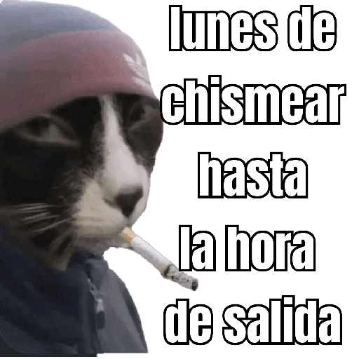 lunes de ... 👌 preview