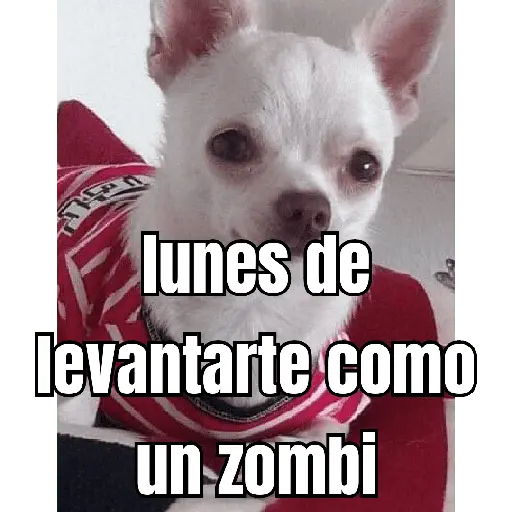 lunes de ... 👌
