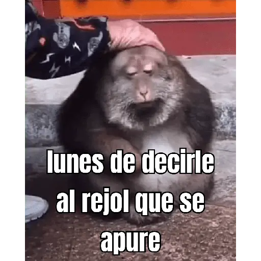 lunes de ... 👌