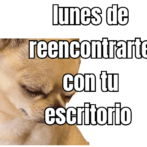 lunes de ... 👌 preview