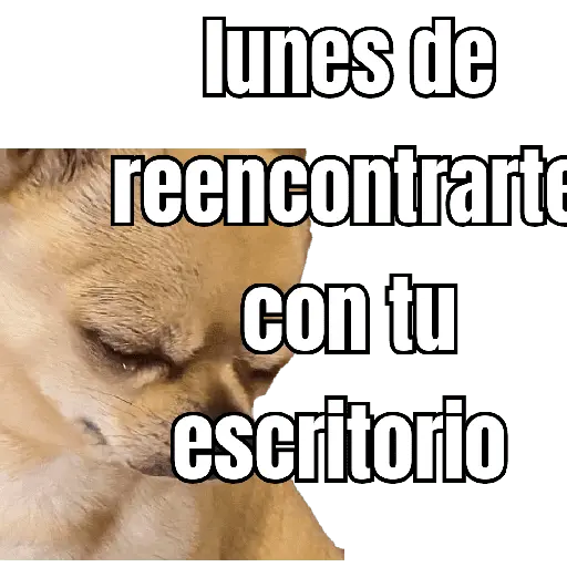 lunes de ... 👌