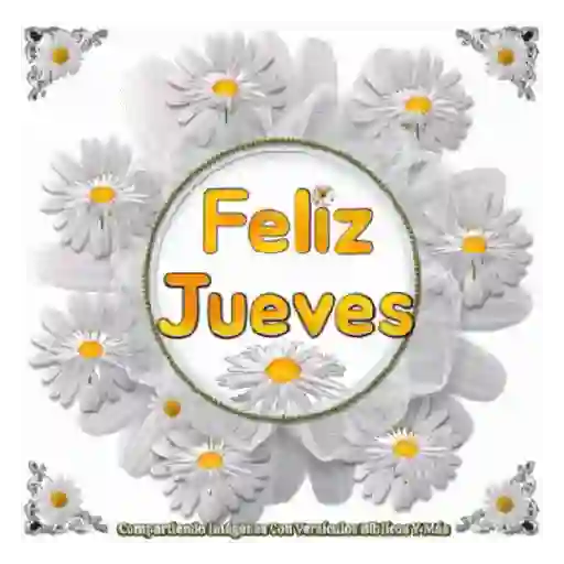 Martes a jueves🗓️anim