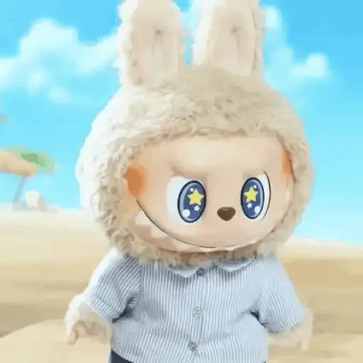 LABUBU 🤎🙉💙 preview