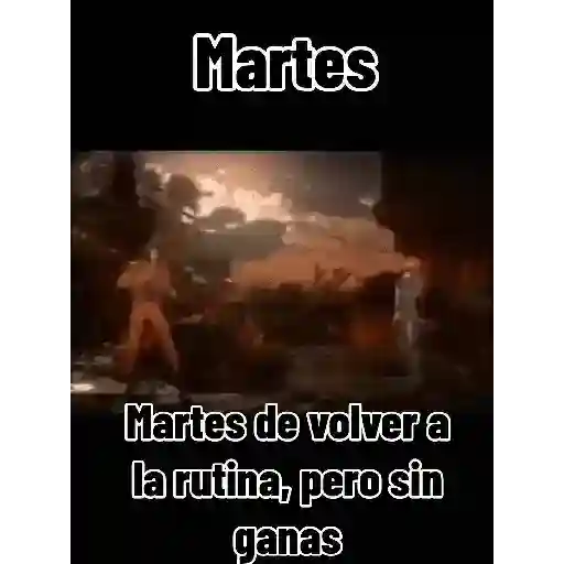 Martes de
