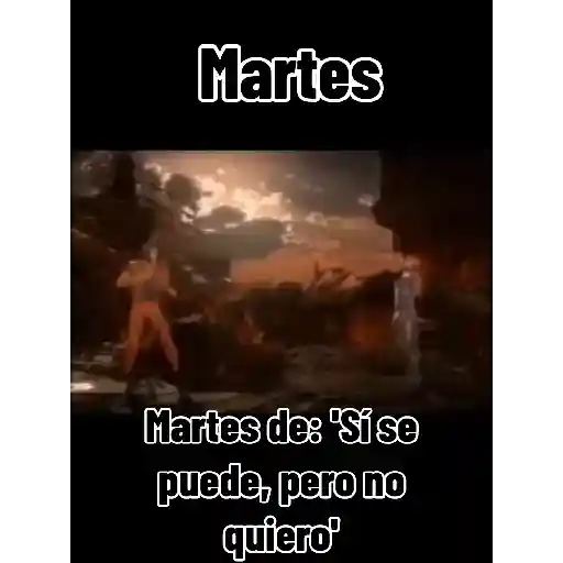 Martes de