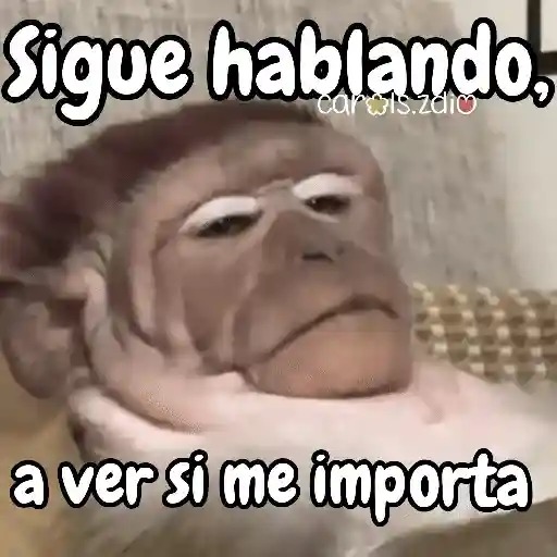 Monos changos graciosos 🐒🐵 preview