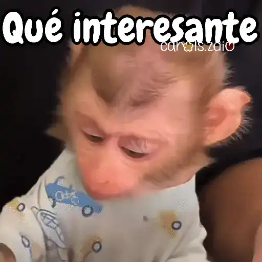 Monos changos graciosos 🐒🐵