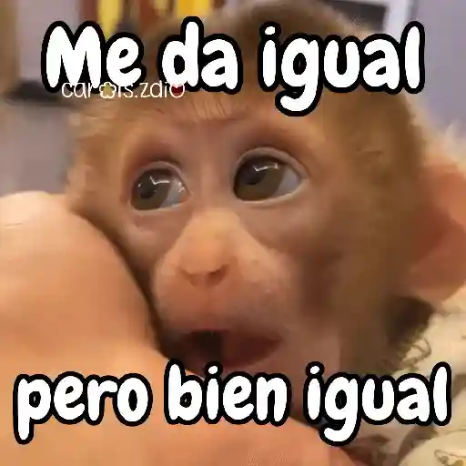 Monos changos graciosos 🐒🐵 preview