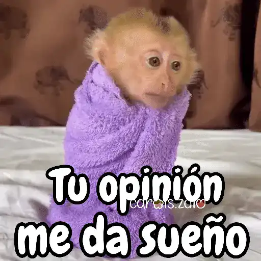 Monos changos graciosos 🐒🐵