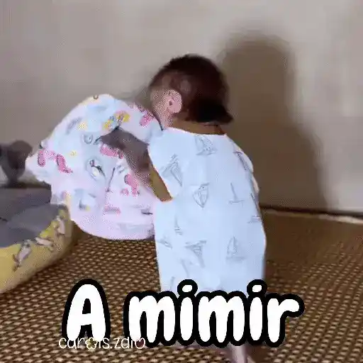 Monos changos graciosos 🐒🐵
