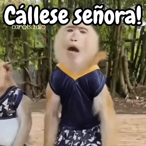 Monos changos graciosos 🐒🐵