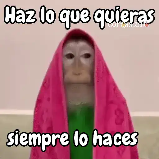 Monos changos graciosos 🐒🐵