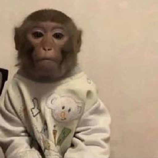 Monos. | @ocenferios  𝐇aki. preview
