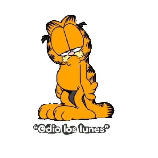 Lunes! 🌟