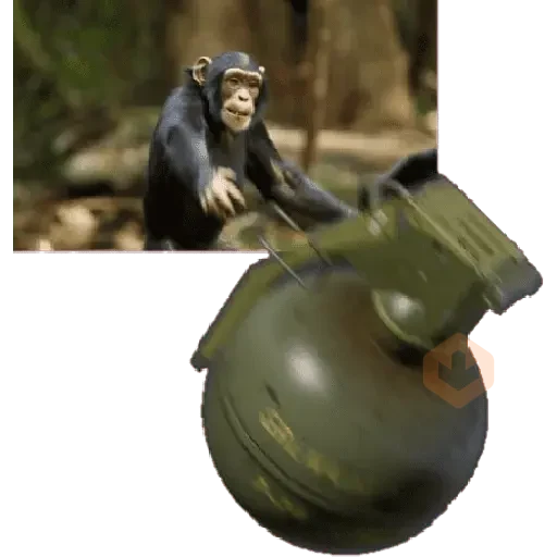 monos macaco changos 3😎 sticker 16