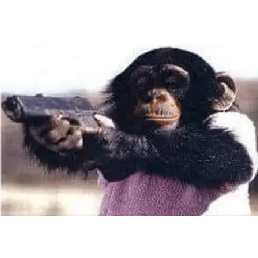 monos macaco changos 3😎 sticker 14