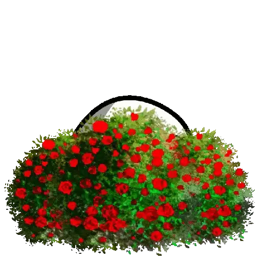 Flores - Flork 🌹✨