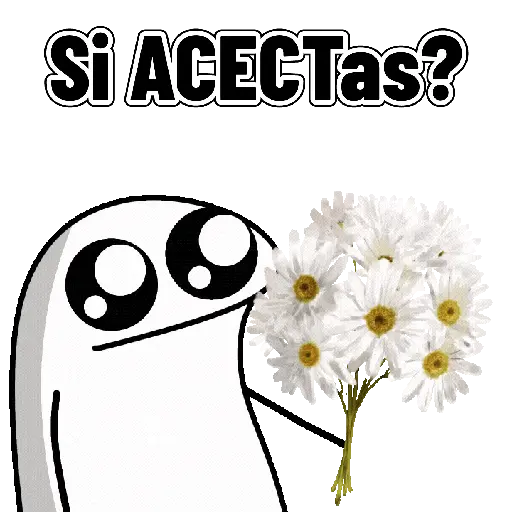 Flores - Flork 🌹✨
