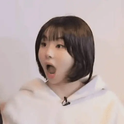 Twice Memes #7