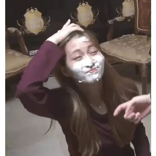 Twice Memes #7