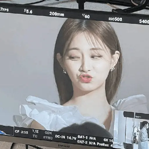 Twice Memes #7
