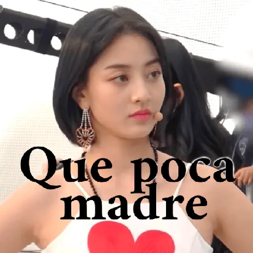 Twice Memes #7