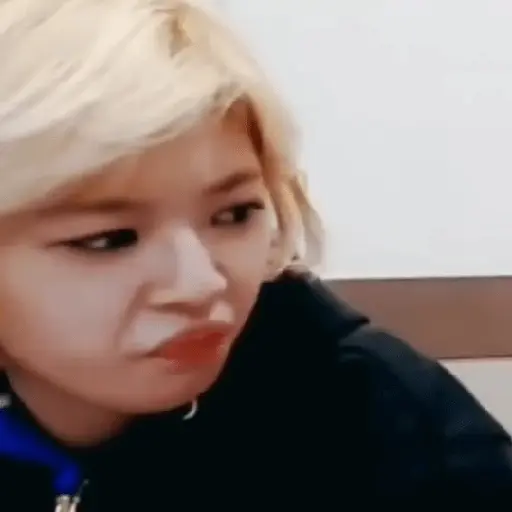 Twice Memes #7