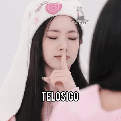Twice Memes #7