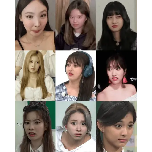Twice Memes #7