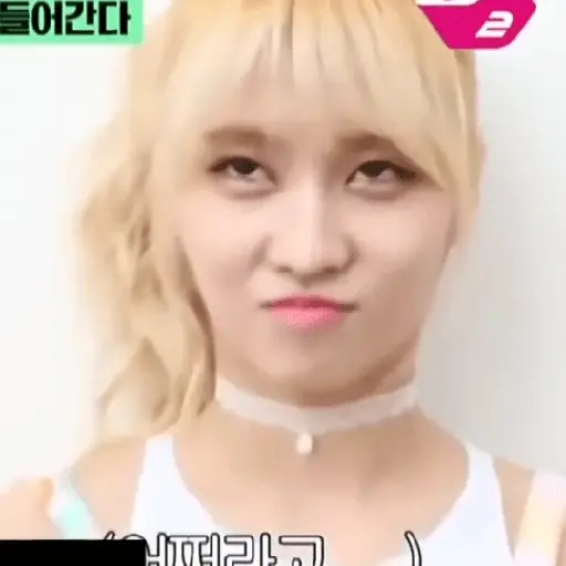 Twice Memes #7