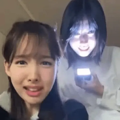 Twice Memes #7
