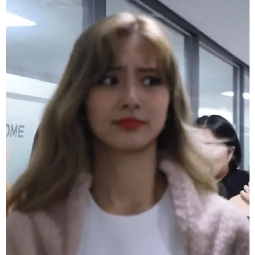 Twice Memes #7