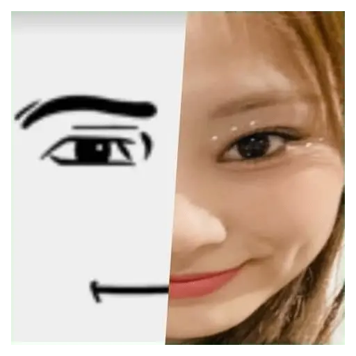 Twice Memes #7