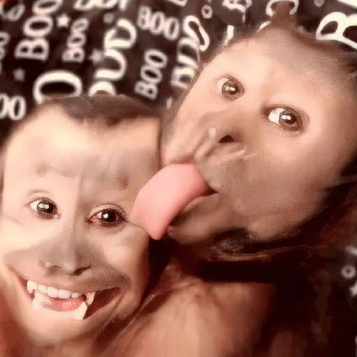 🐒🙊🌴 MONOS 🌴🙊🐒