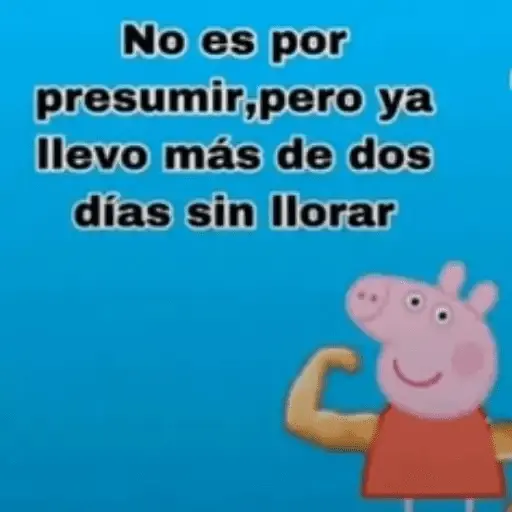 Peppa Pig Memes🐽💕