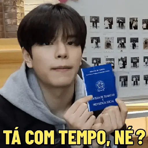 CARTEIRA DE TRABALHO (K-POP) 😁